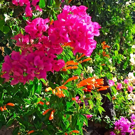 Casa Tamara Quiet Flat With Pool Great View Of The Mountains And The Sea *