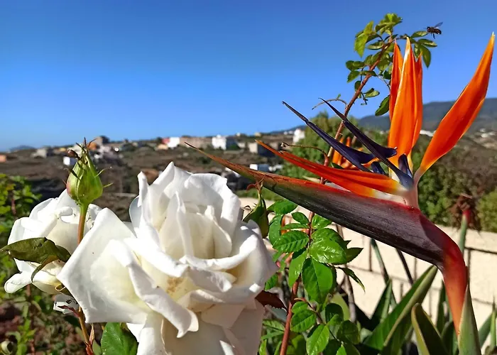Apartamento Casa Tamara Quiet Flat With Pool Great View Of The Mountains And The Sea